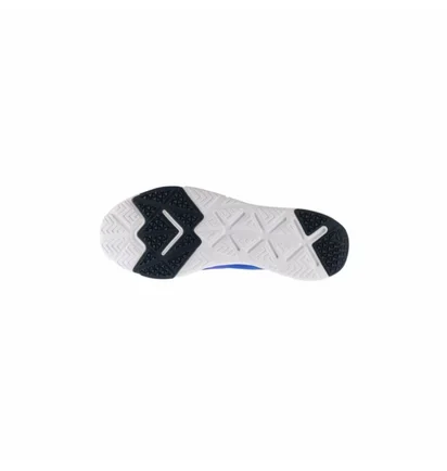 Кросівки чоловічі Reebok Flexile Blue BS8046