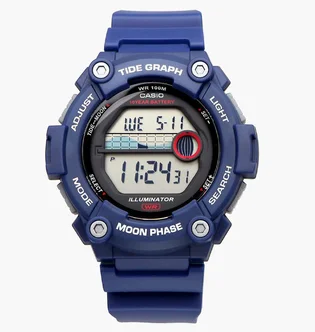 Часы мужские Casio WS-1300H-2A
