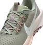 Кросівки жіночі Nike Pegasus Trail 5 Grey DV3865-300