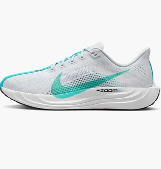 Кроссовки мужские Nike Pegasus Plus Grey FQ7262-004