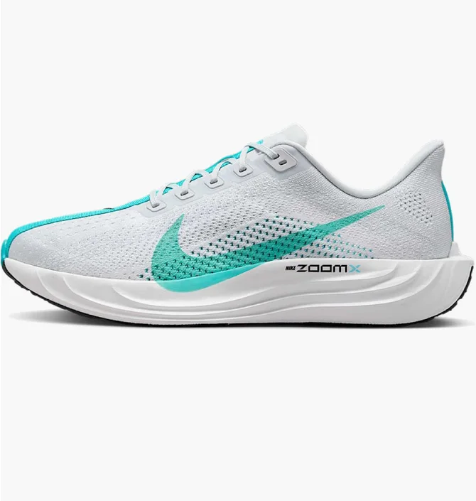 Кросівки чоловічі Nike Pegasus Plus Grey FQ7262-004