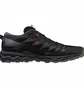 Кроссовки мужские Mizuno Wave Daichi 7 Gore-Tex Trail Running Shoes Black J1GJ2256-01