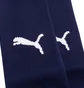 Гетры мужские Puma Teamgoal Sleeve Blue 706028-06