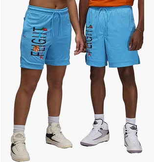 Шорты мужские Air Jordan Artist Series By Darien Birks Shorts Light Blue HF5474-462