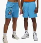 Шорти чоловічі Air Jordan Artist Series By Darien Birks Shorts Light Blue HF5474-462