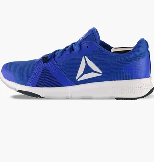 Кроссовки мужские Reebok Flexile Blue BS8046
