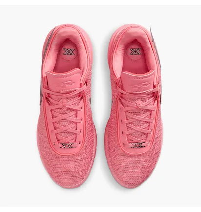 Кроссовки женские Nike Lebron Xx Pink DJ5423-600