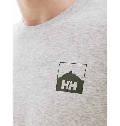 Футболка мужская Helly Hansen Nord Graphic Hh T-Shirt Grey 62979-949