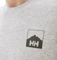 Футболка мужская Helly Hansen Nord Graphic Hh T-Shirt Grey 62979-949
