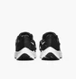 Кроссовки женские Nike Air Zoom Pegasus 38 Flyease Black DA6698-001