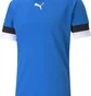 Футболка мужская Puma Teamrise Jersey Blue 704932-02
