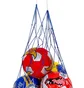 Сетка для мячей SP-Planeta Zlt 10 Multi SO-5256