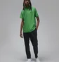 Поло мужское Air Jordan Dri-Fit Adv Sport Green DZ0548-310