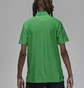 Поло мужское Air Jordan Dri-Fit Adv Sport Green DZ0548-310