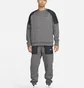 Свитшот мужской Nike Therma-Fit Grey DQ4854-071