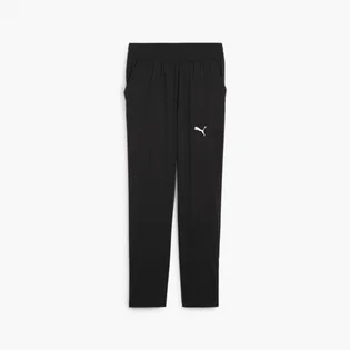 Штаны мужские Puma Fit Black 524921-01