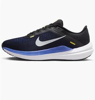 Кроссовки мужские Nike Winflo 10 Blue DV4022-005