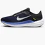 Кросівки чоловічі Nike Winflo 10 Blue DV4022-005