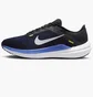 Кроссовки мужские Nike Winflo 10 Blue DV4022-005
