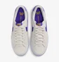 Кросівки чоловічі Nike Sb Zoom Pogo Plus Beige DV5469-003