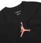 Футболка чоловіча Air Jordan M J Dfct Air Perf Gfx Crew Black CZ8087-010