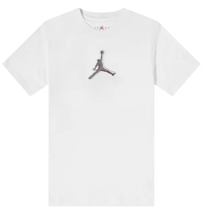 Футболка мужская Air Jordan Dfct Air Perf Gfx Crew White CZ8087-100