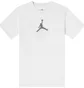 Футболка мужская Air Jordan Dfct Air Perf Gfx Crew White CZ8087-100