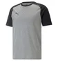 Футболка мужская Puma Teamcup Casuals Tee Grey 657992-13