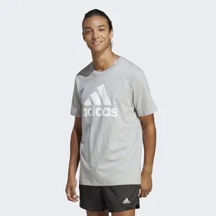 Футболка чоловіча Adidas Essentials Single Jersey Big Logo Tee Grey Ic9350