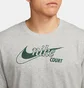 Футболка мужская Nike Court Dri-Fit Swoosh Tennis T-Shirt Grey DD8376-064