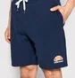 Шорты мужские Ellesse Malviva Short Blue SXG13532-429
