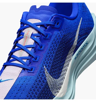 Кросівки чоловічі Nike Pegasus Plus Prm Blue HQ1719-400