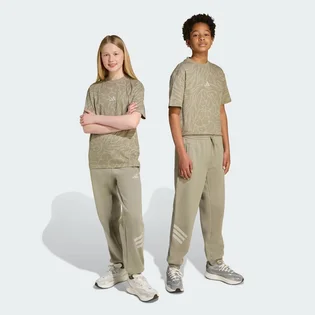 Штани дитячі Adidas Future Icons 3-Stripes Grey JW7523