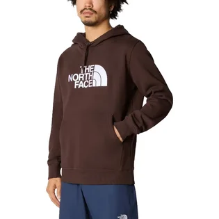 Худи мужское The North Face Drew Peak Hoodie Brown NF00AHJYI0I
