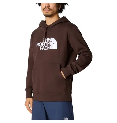 Худи мужское The North Face Drew Peak Hoodie Brown NF00AHJYI0I