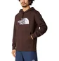 Худи мужское The North Face Drew Peak Hoodie Brown NF00AHJYI0I