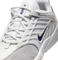 Кросівки чоловічі Nike Vertebrae Sb Grey FD4691-002