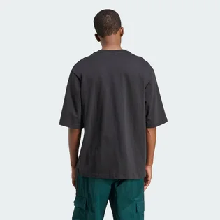 Футболка мужская Adidas Adicolor Oversized Black JY1398