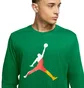 Лонгслів чоловічий Air Jordan Sport Dna MenS Long-Sleeve Crew Green CN3502-310