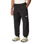 Штаны мужские The North Face Easy Wind Pant Tnf Black NF0A8767JK3