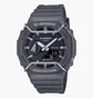 Часы мужские Casio G-Shock Standard Tone-On-Tone Series GA-2100PTS-8A