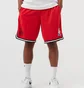 Шорти чоловічі Nike Chicago Bulls Red DB1795-657
