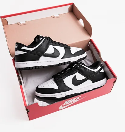 Кросівки жіночі Nike Dunk Low Panda W White/Black Dd1503-101