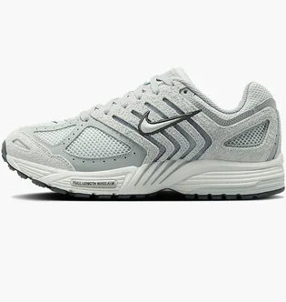 Кроссовки женские Nike Wmns Air Pegasus 2005 Grey HJ5271-001