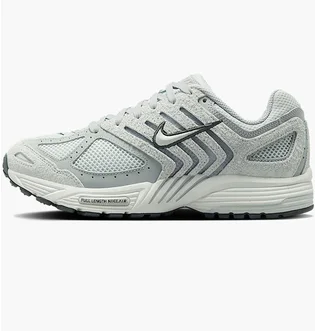 Кросівки жіночі Nike Wmns Air Pegasus 2005 Grey HJ5271-001