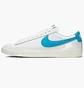 Кросівки чоловічі Nike Blazer Low Leather White CI6377-104