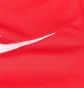 Олімпійка дитяча Nike Dri-Fit Park 20 Red FJ3026-657