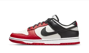 Кросівки чоловічі Nike Dunk Low Retro Emb Multi DD3363-100