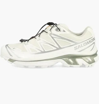 Кроссовки мужские Salomon Xt-6 Gtx White 475811