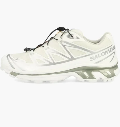Кроссовки мужские Salomon Xt-6 Gtx White 475811